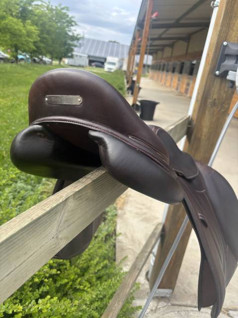 Selle forestier saoul 