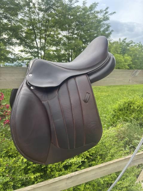 Selle forestier saoul 