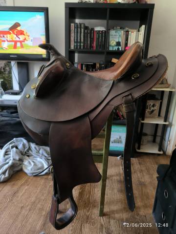 Selle australienne 