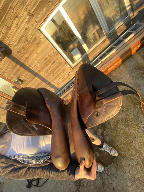 Selle Monoquartier 17,5