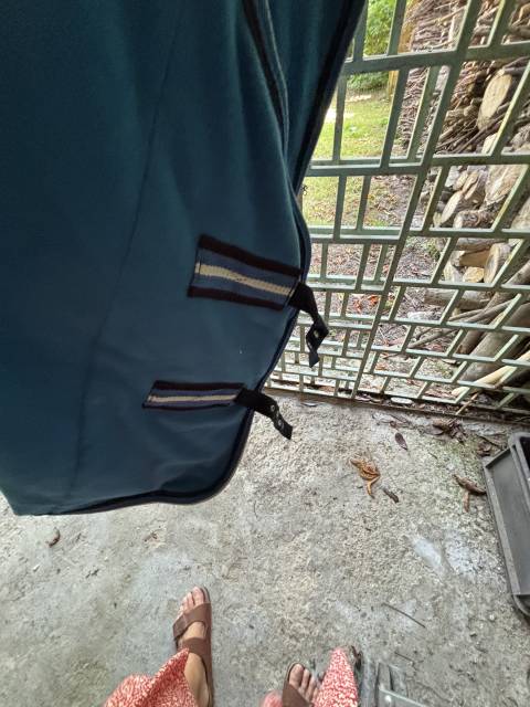 Couverture cheval neuve 