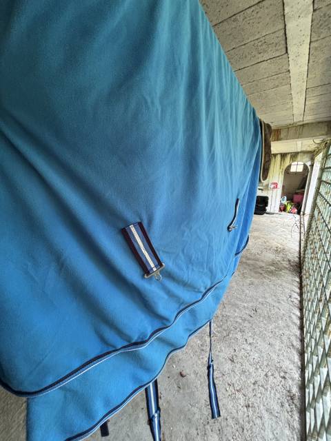 Couverture cheval neuve 