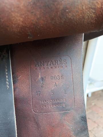 Selle Antares connexion 