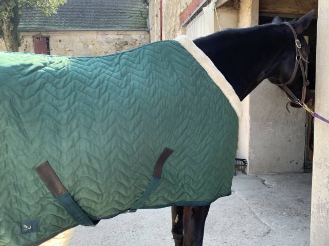 couverture d'écurie etat neuf 155 cm