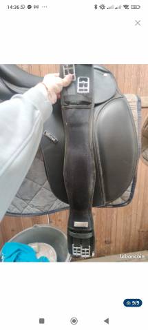 Selle wintec dressage 250