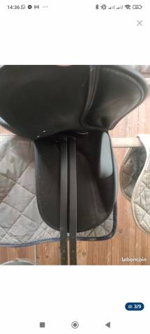 Selle wintec dressage 250