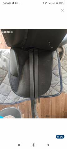 Selle wintec dressage 250