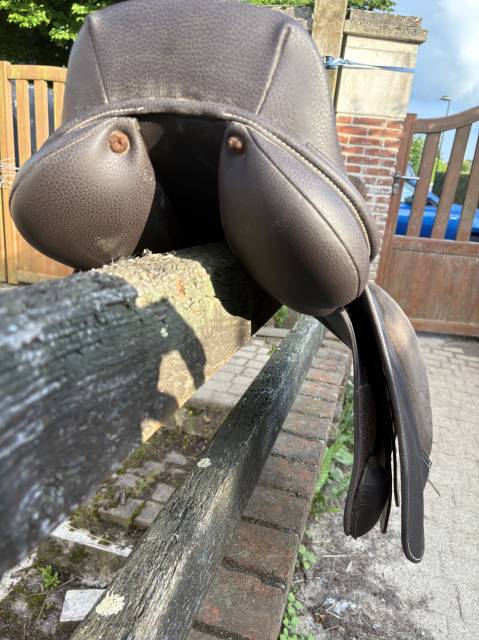 Selle Norton pro jump 