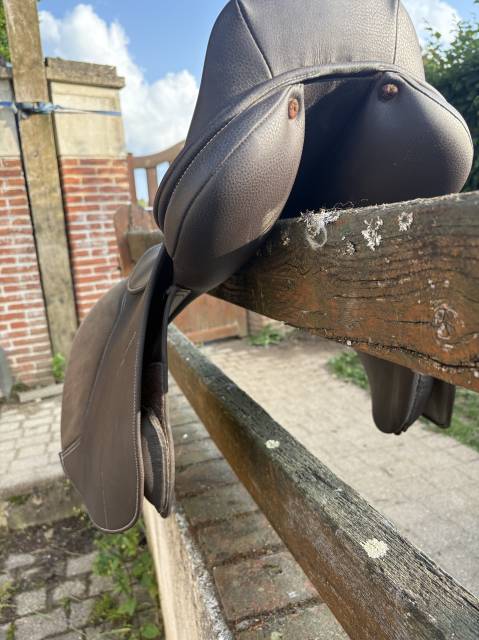 Selle Norton pro jump 