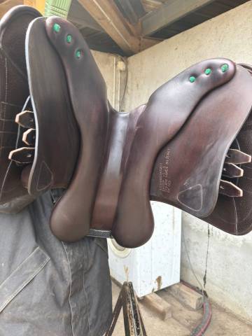 Selle équipe EK-GO carbone 