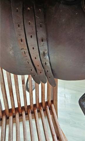 Selle Mixte Childeric 