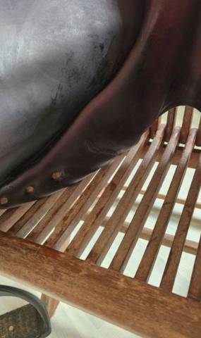 Selle Mixte Childeric 