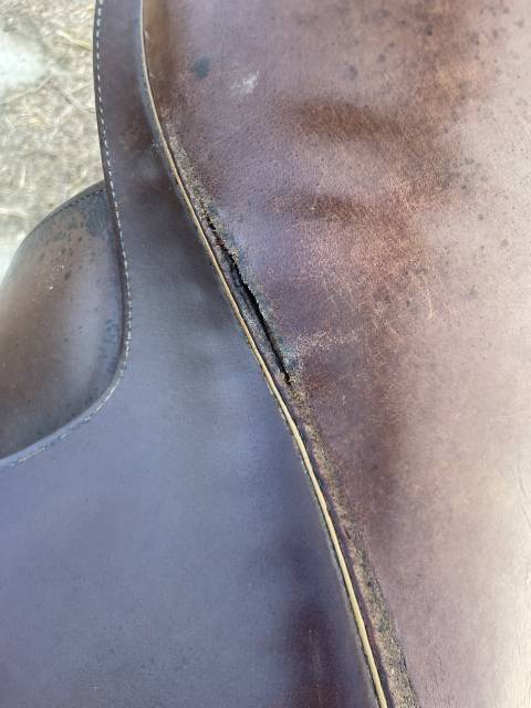 Selle cheval 