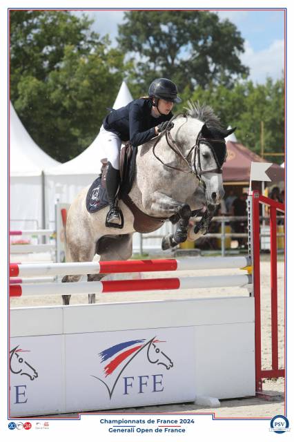 A VENDRE PONEY DE SPORT FADO D'HURL'VENT
