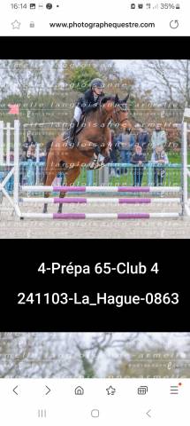 Jument 18 ans loisirs 
