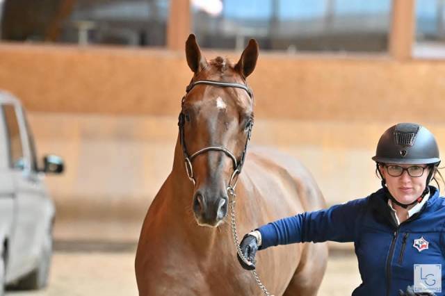 4 ans tres chic gros  moyens