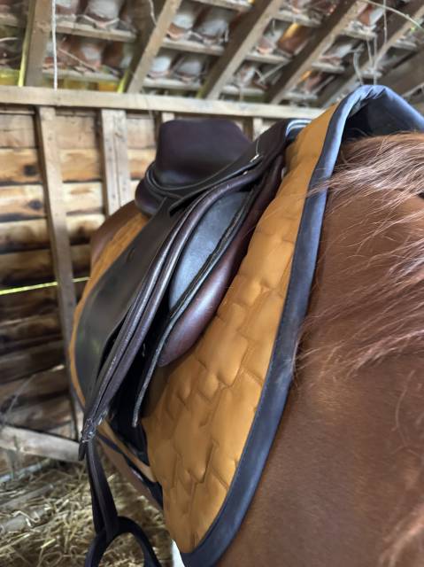 Vend selle privilège équitation modèle Lyon 