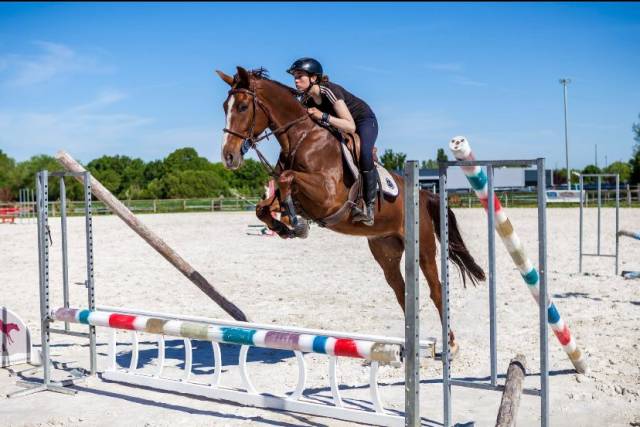 Super cheval à vendre !