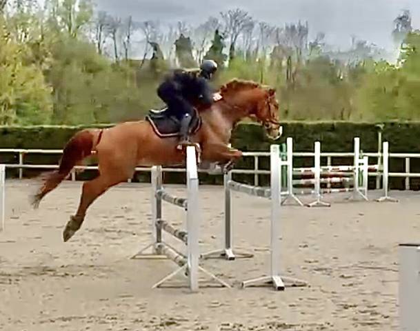 Top sf hunter et cso