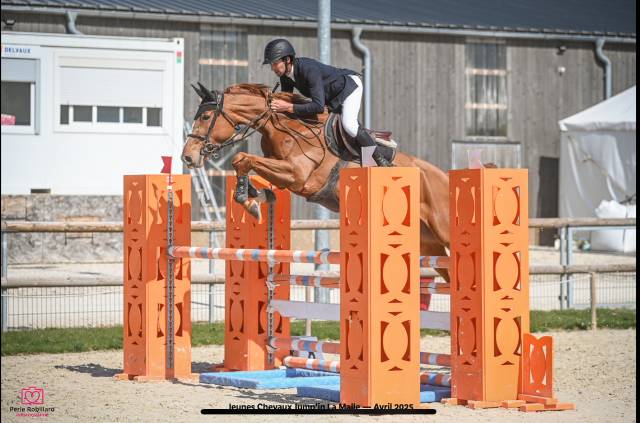 Opaline jument de 5 ans