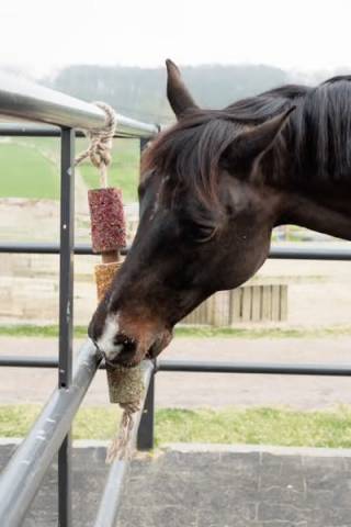 Jouet en bois relaxant avec pierre à sel airways - Kentucky