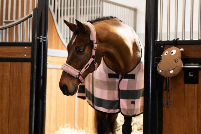 Jouet pour chevaux hippo platinum - Eskadron - cuir synth&eacute;tique