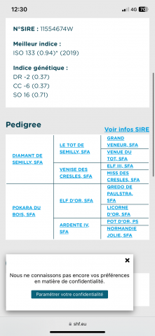 Pouliche 2025 