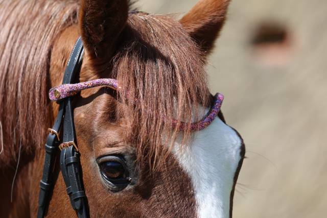Frontal disco à pression - ju & pa - cuir tanné végétal