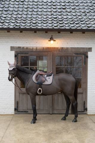 Bonnet anti-mouche pied de poule wellington - Kentucky