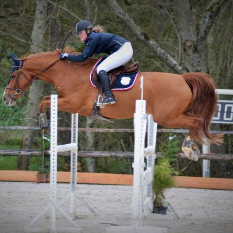Cavalière & enseignante