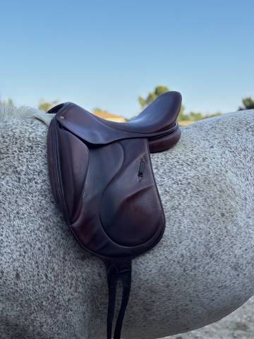 Selle de dressage Belloir Saumur 