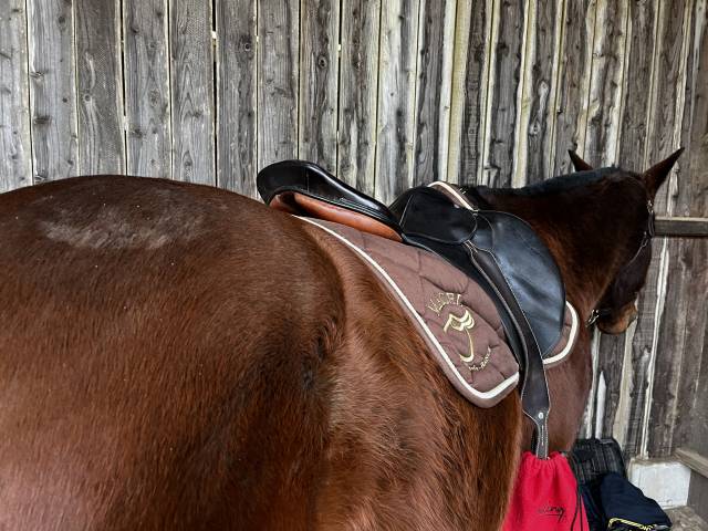 Selle 18 pouces monoquartier