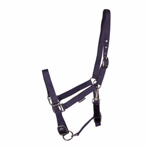 Licol classic avec 3 réglages - Harry's horse - nylon