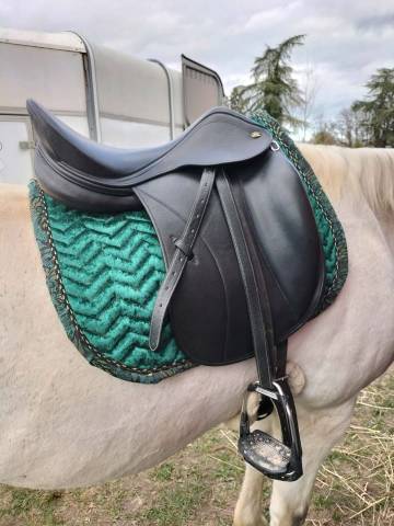 Selle John Whitaker 17,5