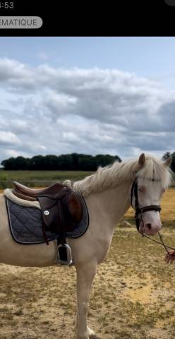 Ponette Welsh 