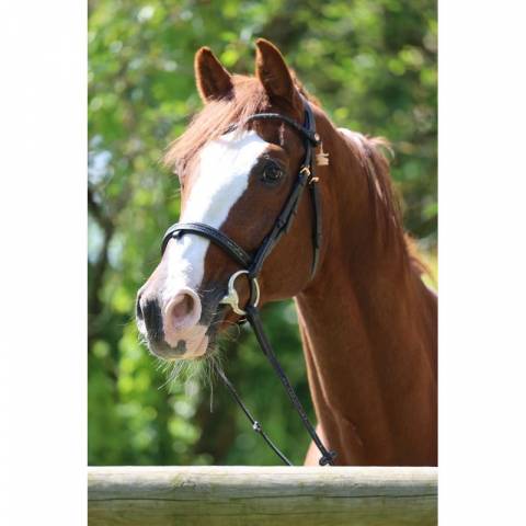 Bridon Disco - JU & PA - Galon noir