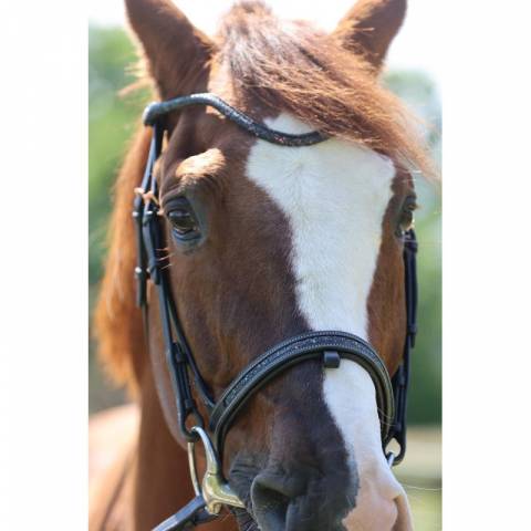 Bridon Disco - JU & PA - Galon noir