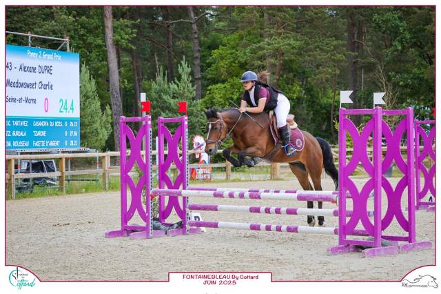 Recherche poney à confier