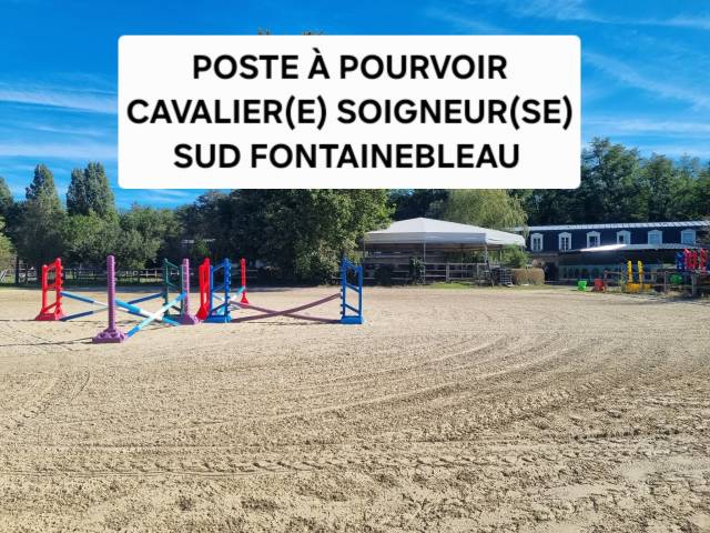 Recherche cavalier(e) soigneur(se)