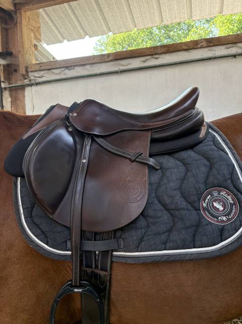 Selle Forestier Séoul 17,5 à vendre