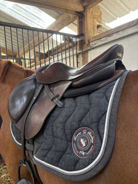 Selle Forestier Séoul 17,5 à vendre