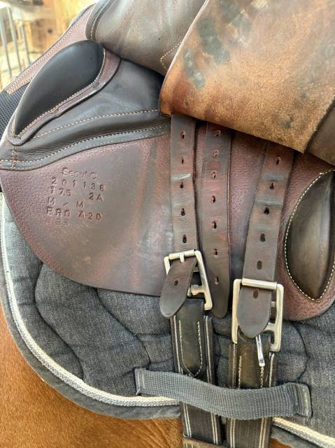 Selle Forestier Séoul 17,5 à vendre