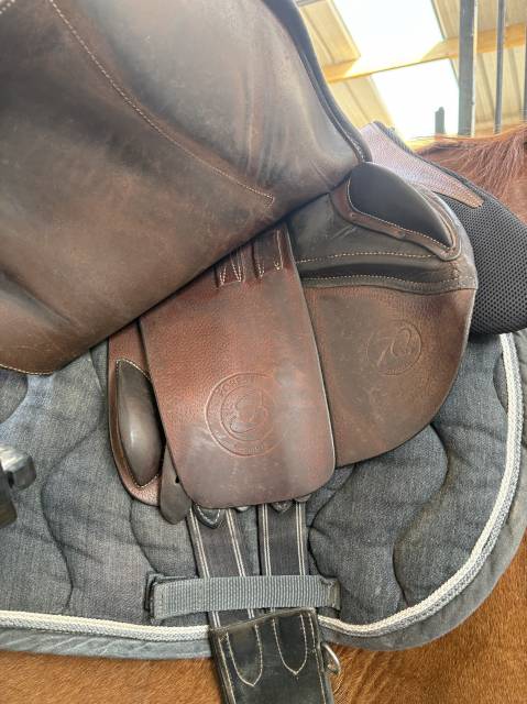 Selle Forestier Séoul 17,5 à vendre