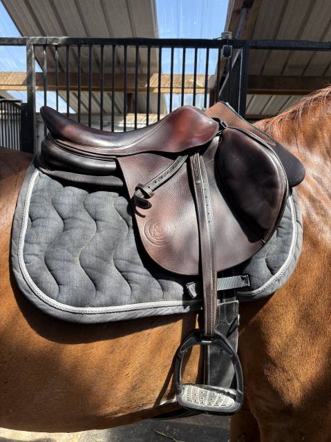 Selle Forestier Séoul 17,5 à vendre