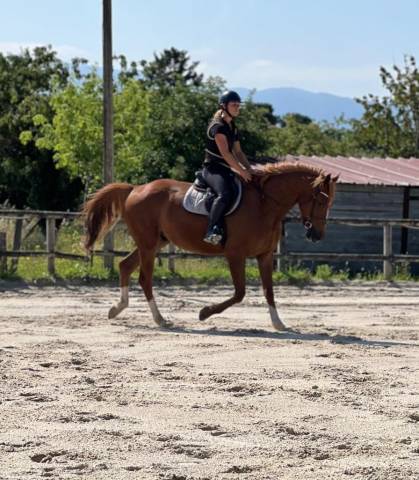 Joli SF 4 ans