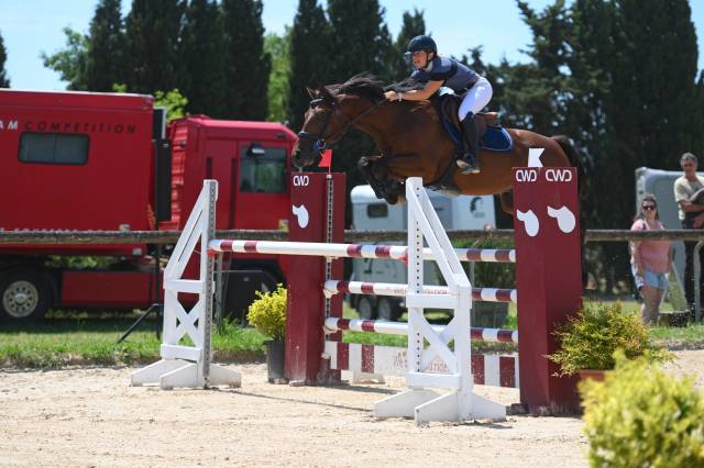 Cheval Zangersheide 7 ans par Quick Star