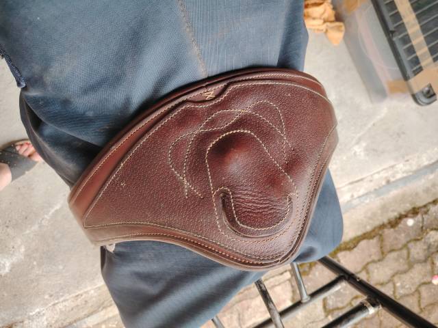 Selle Antares Connexion 2022