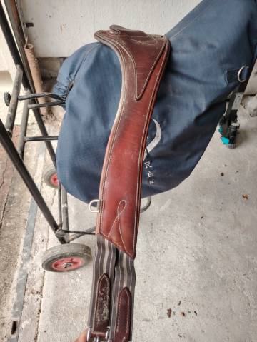 Selle Antares Connexion 2022