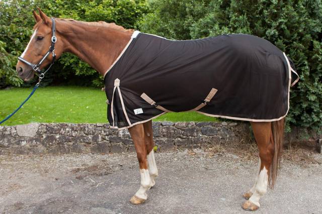 Chemise anti-mouches JMR pour shetland - Nid d'abeille