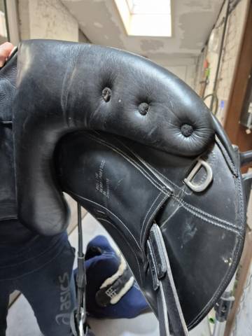 Selle de dressage 